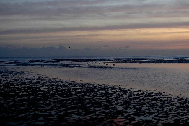 min 2007 11 25 camber plage 070